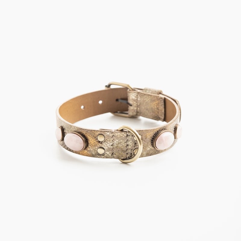 Collier pour chien "Victoire Bis"