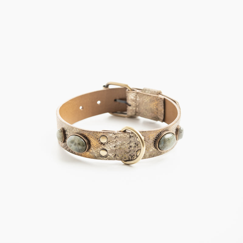 Collier pour chien "Victoire Bis"