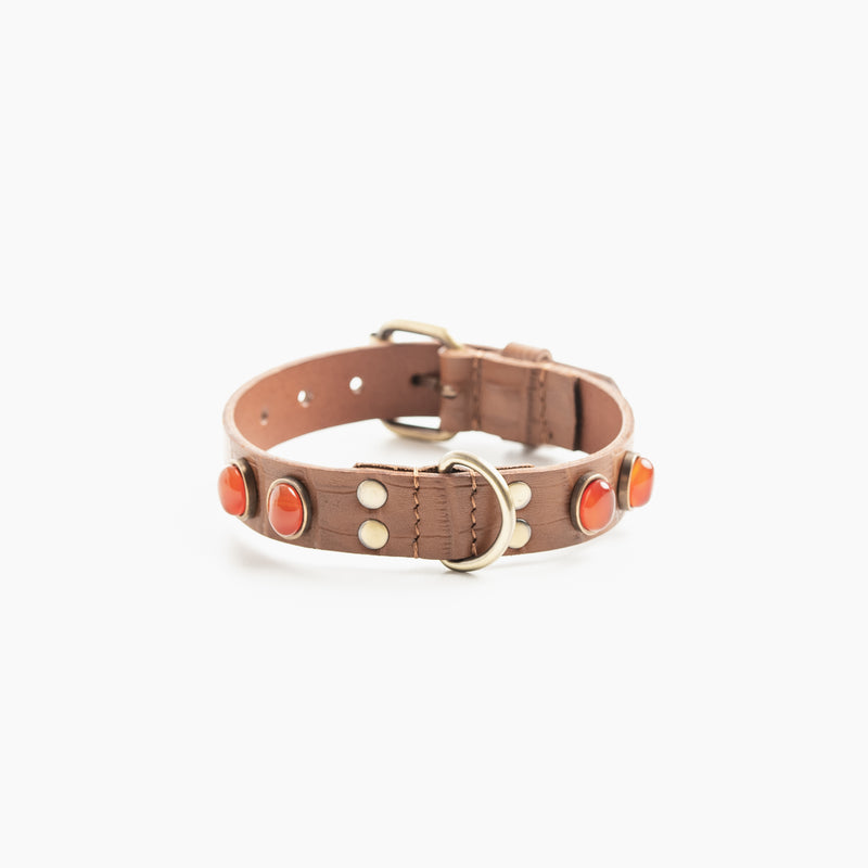 Collier pour chien "Rosalie Bis"