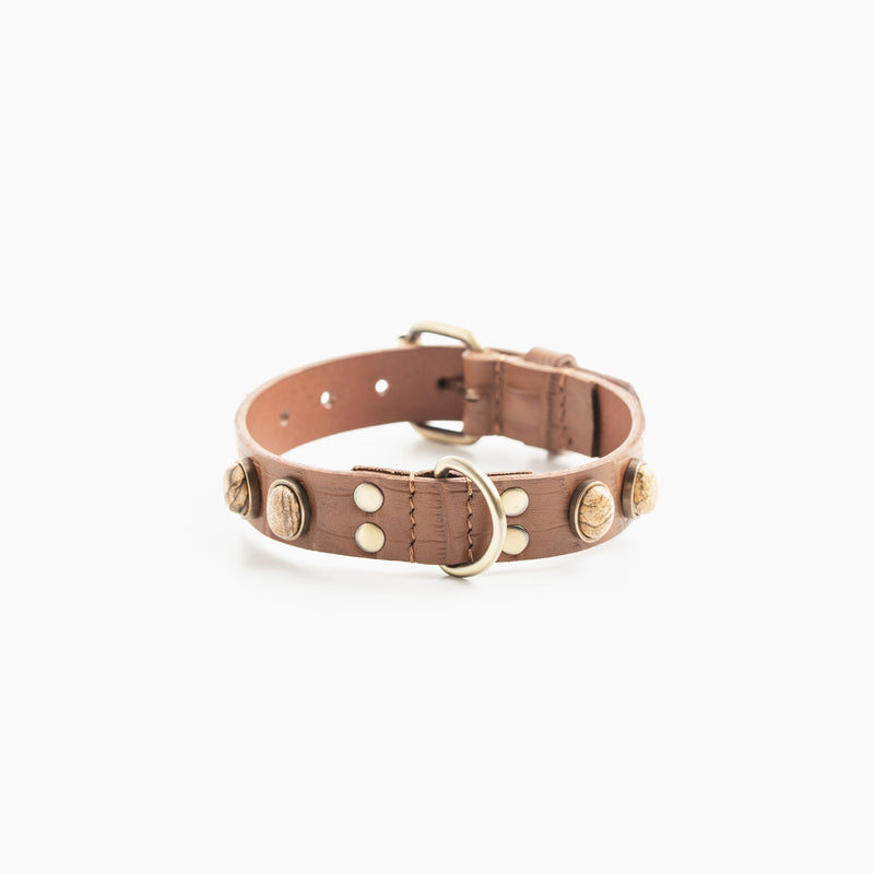 Collier pour chien "Rosalie Bis"