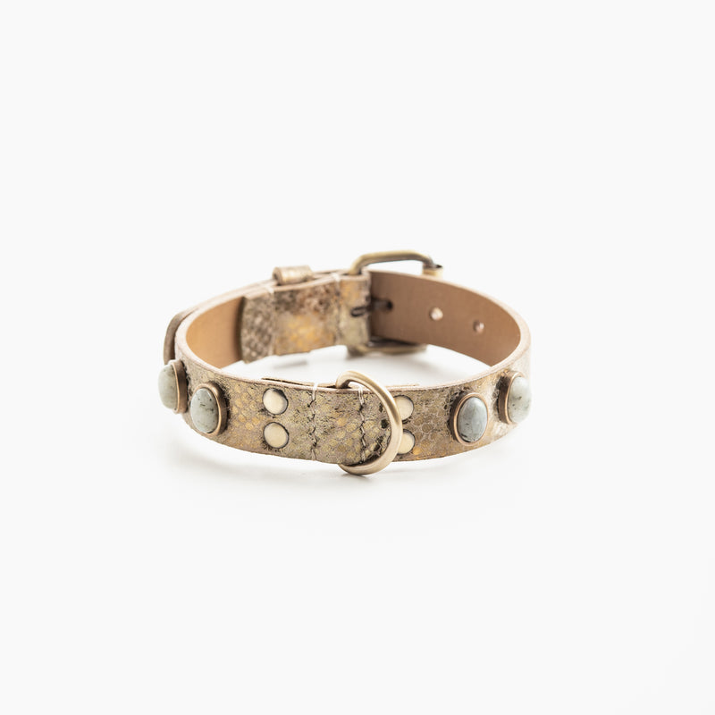 Collier pour chien "Victoire Bis"
