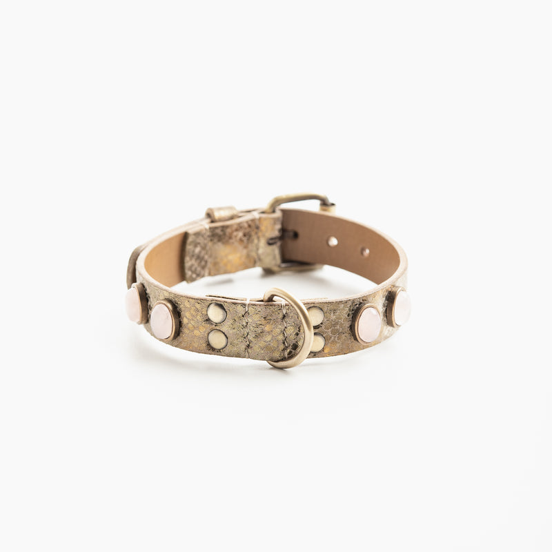 Collier pour chien "Victoire Bis"