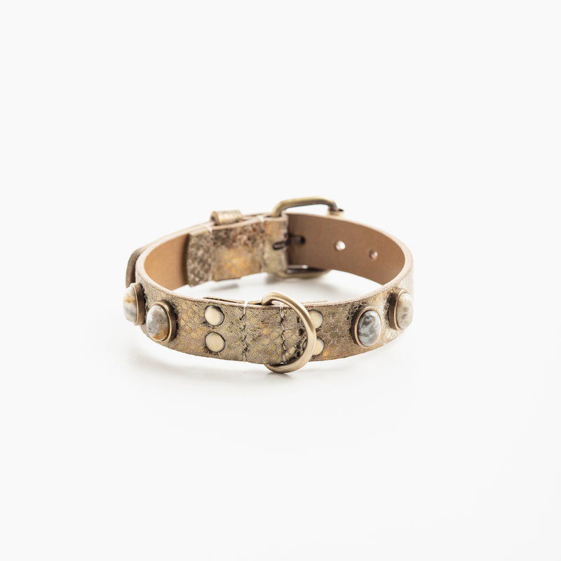 Collier pour chien "Victoire Bis"