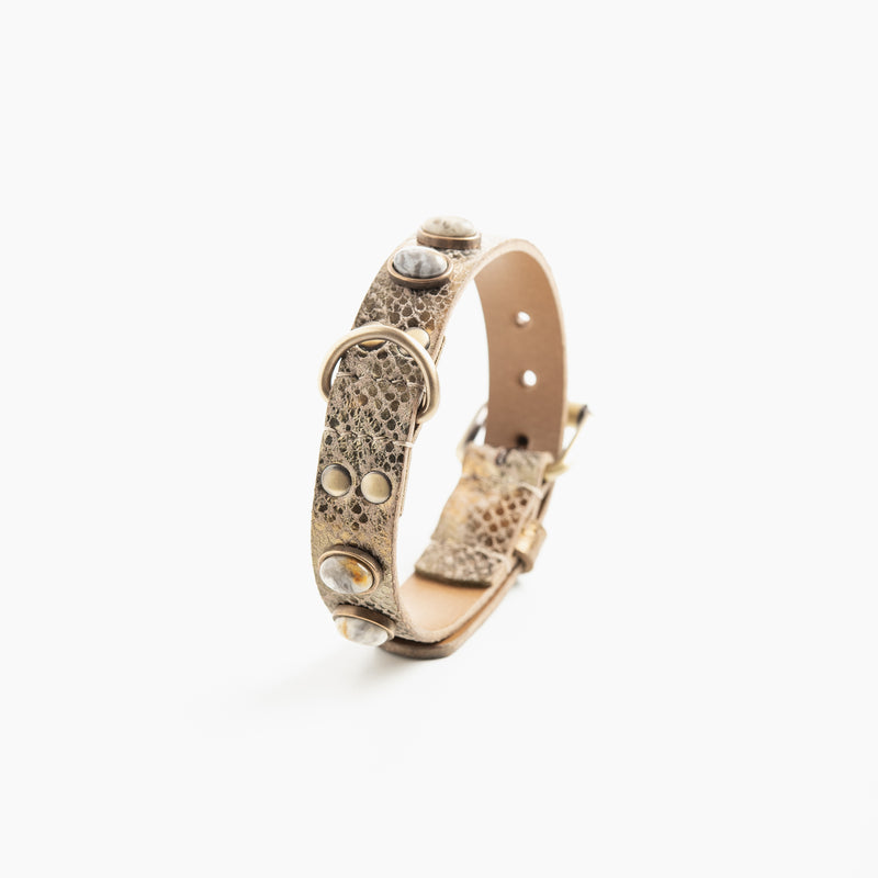 Collier pour chien "Victoire Bis"