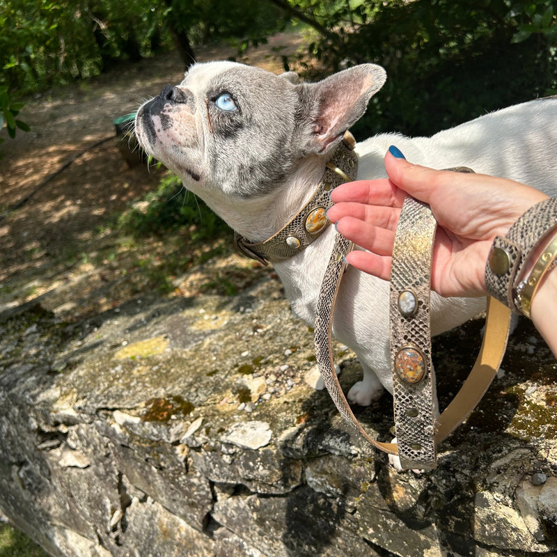 Collier pour chien "Victoire Bis"