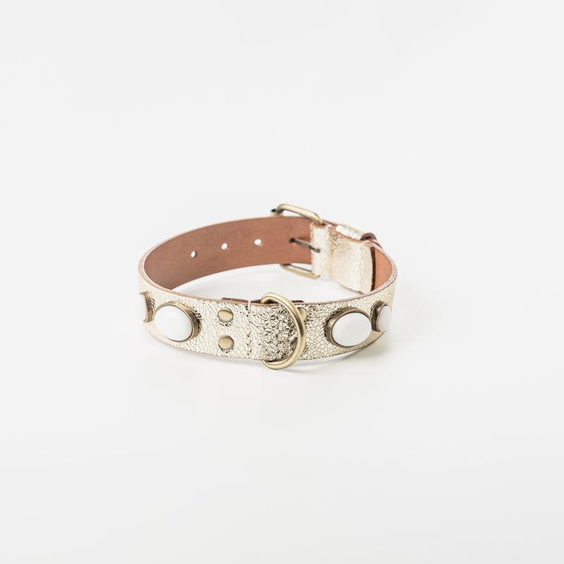 Collier pour chien "Gabrielle"