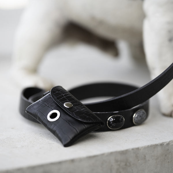 gros plan sur des accessoires de luxe en cuir pour chien