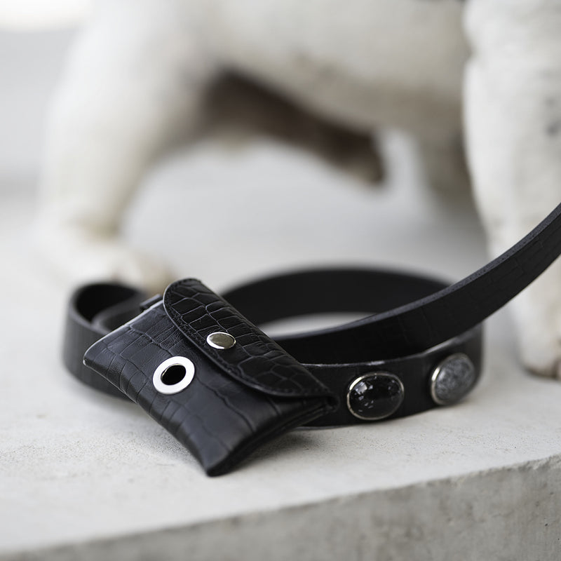 gros plan sur des accessoires de luxe en cuir pour chien