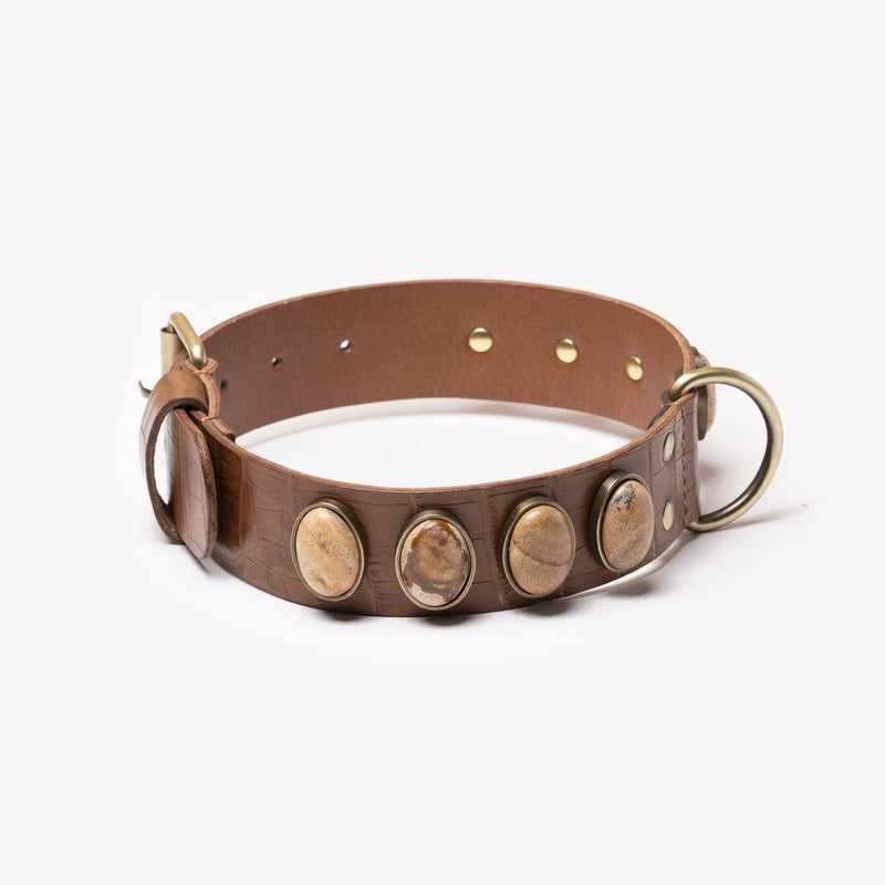 Des pierres Picture Jasper utilisées en lithothérapie ornent un collier large en cuir pour chien