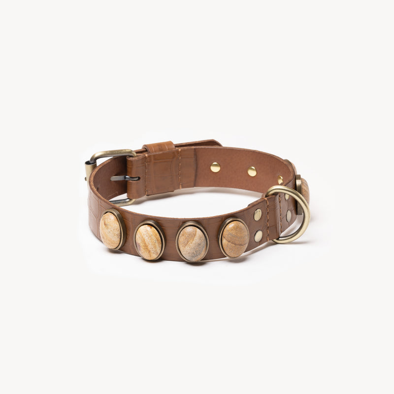 Picture Jasper sur accessoire de cuir haut de gamme destiné à tout type et toutes tailles de chiens