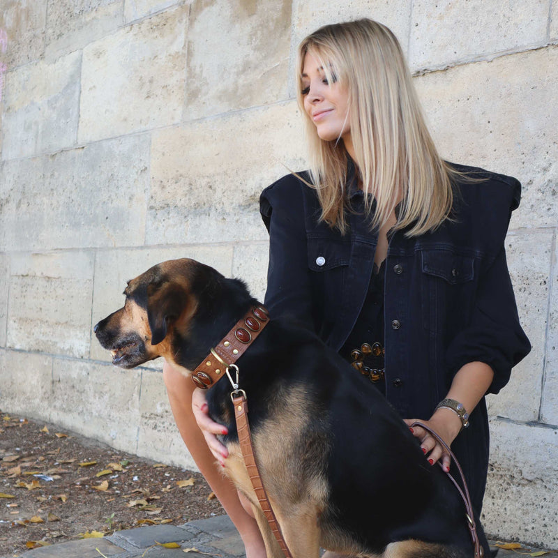 Femme élégante avec son chien portant un collier en cuir large couleur caramel
