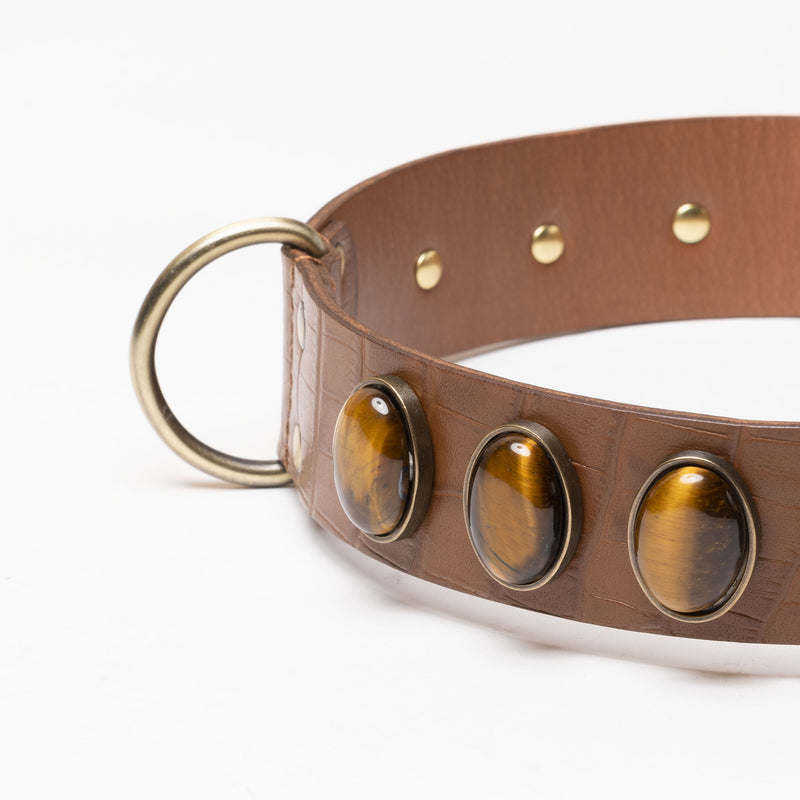 Détail d'un collier en cuir marron pour chien et boucle d'attache pour laisse