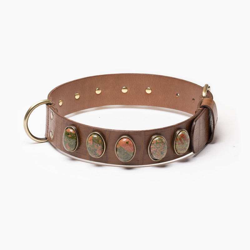 Collier de luxe pour chien couleur caramel