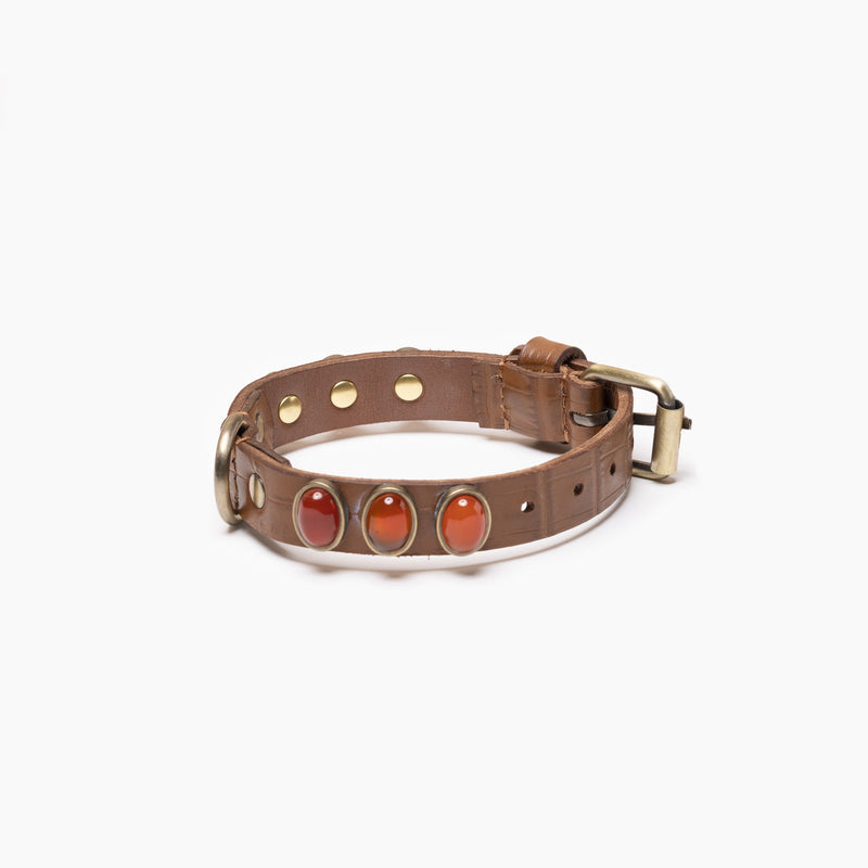 Accessoire de luxe en cuir caramel pour petit chien