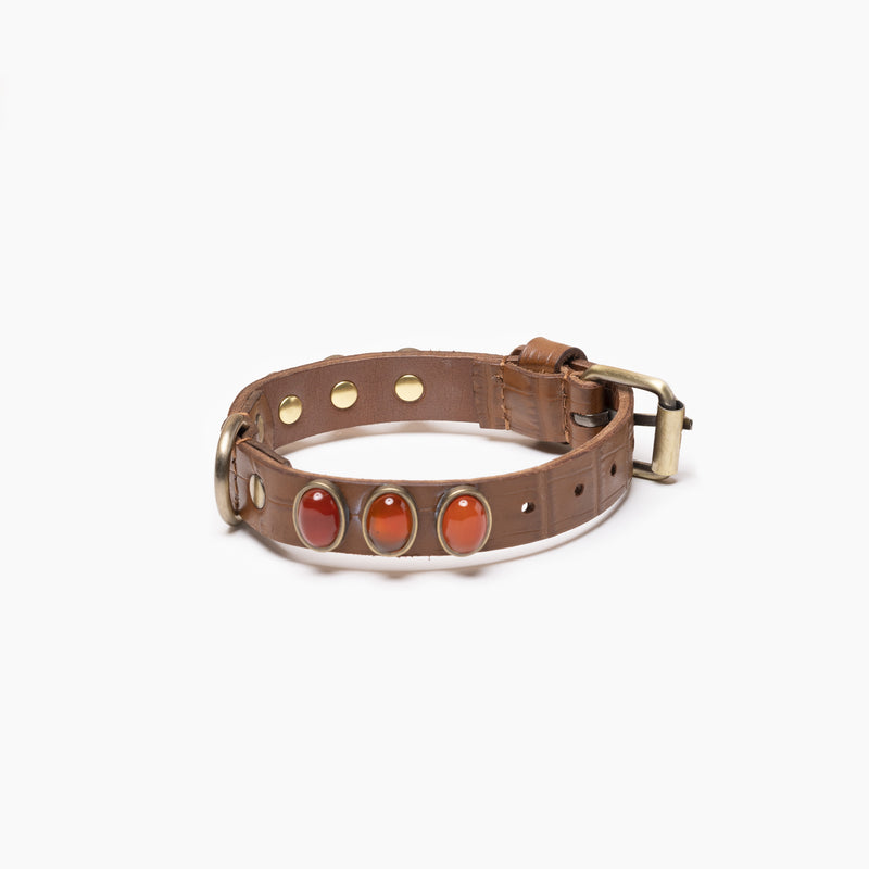 ACCESSOIRES CHIEN LUXE – COLLIER, SAC