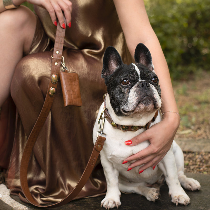 Joli bouledogue français tenu en laisse de cuir marron par une maîtresse élégante