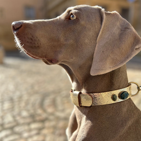 Collier pour chien "Gabrielle"