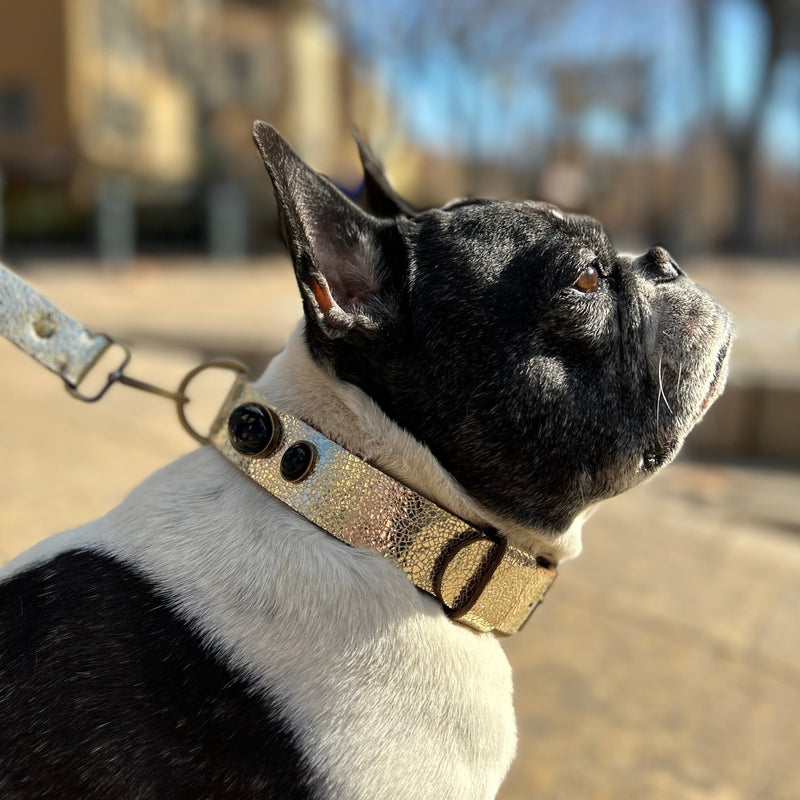 Collier pour chien "Gabrielle"